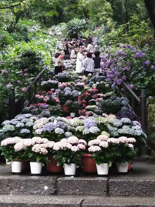 長谷寺(奈良県)