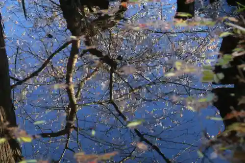鹿島大神宮の手水舎