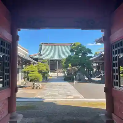 徳願寺の本殿・本堂