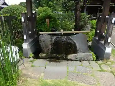 妙蓮寺の手水舎