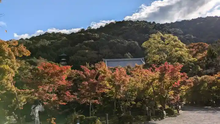 禅林寺(永観堂)(京都府)