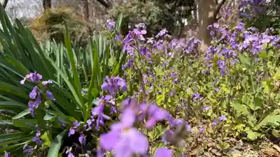 岩之上堂(埼玉県)