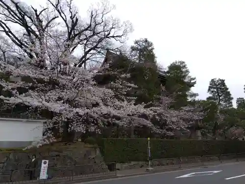 知恩院(京都府)
