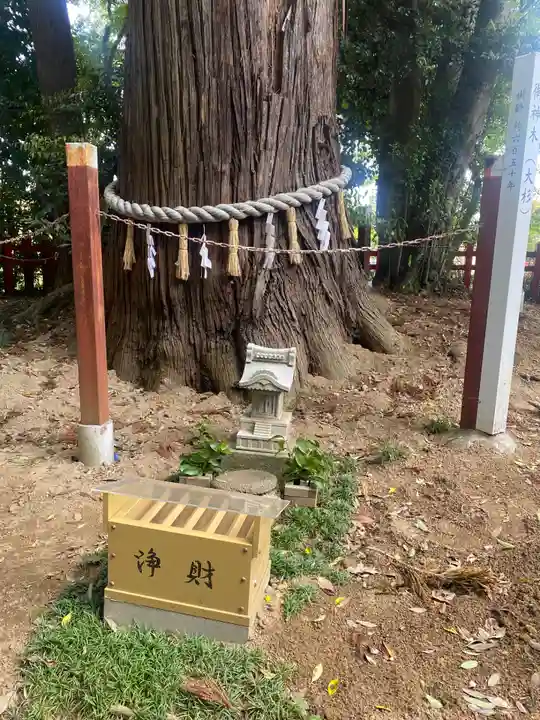 麻賀多神社奥宮(千葉県)