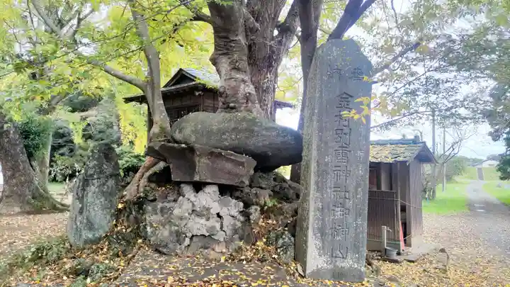 金村別雷神社(茨城県)