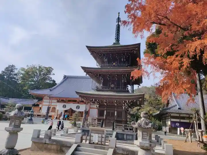 豊川閣 妙厳寺の塔