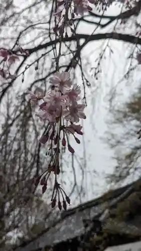 松ヶ崎大黒天 妙圓寺（妙円寺）(京都府)