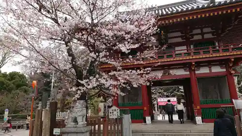 瀧泉寺（目黒不動尊）の山門