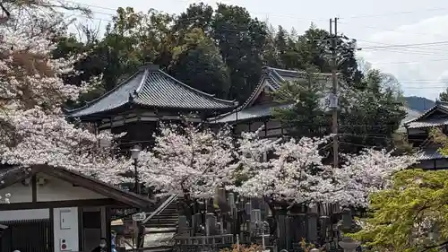 くろ谷 金戒光明寺(京都府)