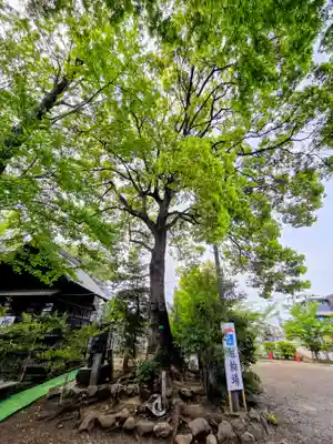 牟礼神明社(東京都)