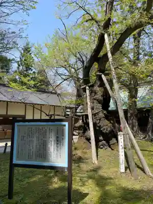 蠶養國神社(福島県)