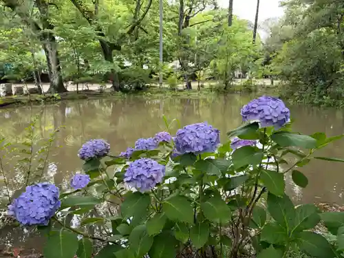 子安神社(千葉県)