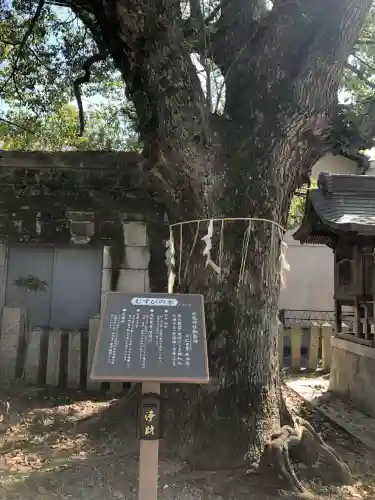 水尾神社(兵庫県)