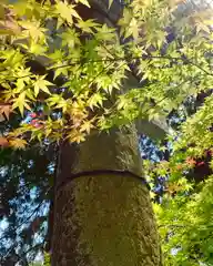 滑川神社 - 仕事と子どもの守り神の自然