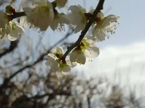 宝城坊の自然