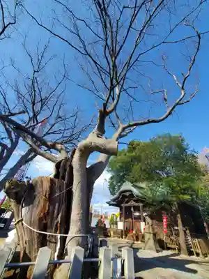 阿邪訶根神社(福島県)