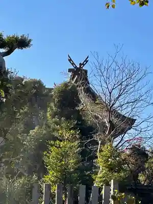 難波大社 生國魂神社の本殿・本堂