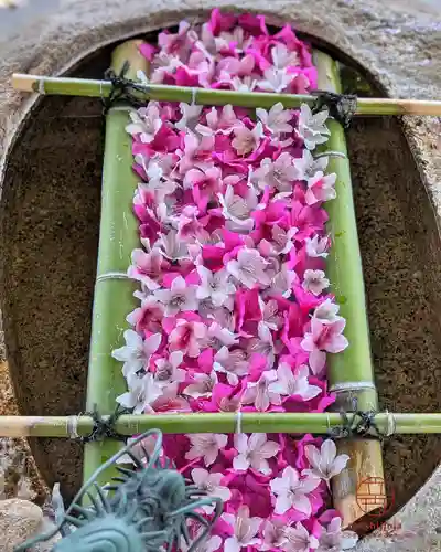 立志神社(滋賀県)