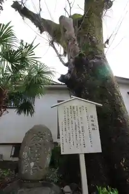 日枝神社(静岡県)