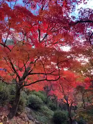 東福禅寺(東福寺)(京都府)