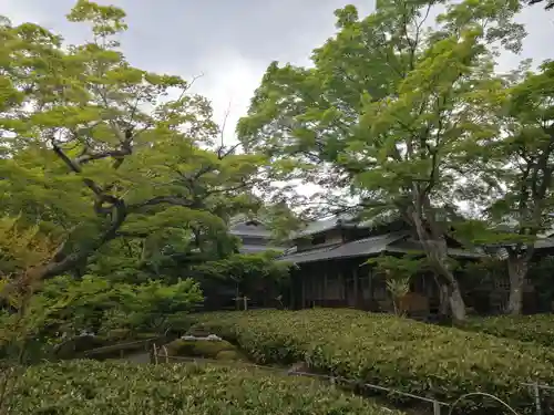 宝厳院(京都府)