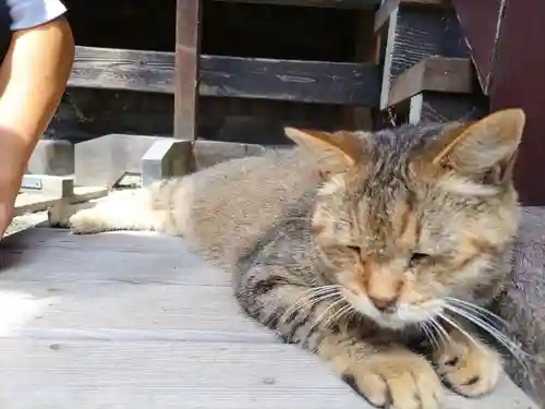 榛名神社(群馬県)