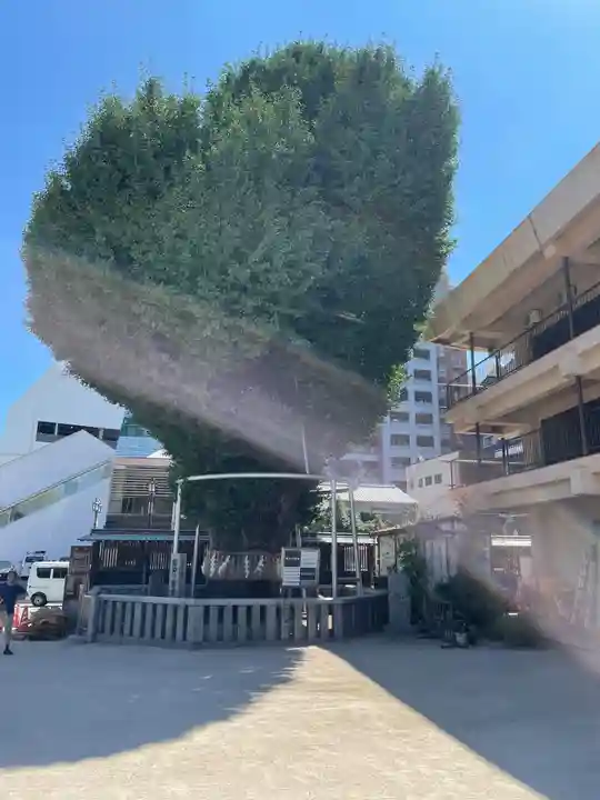 櫛田神社の自然