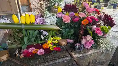 勝林寺(京都府)