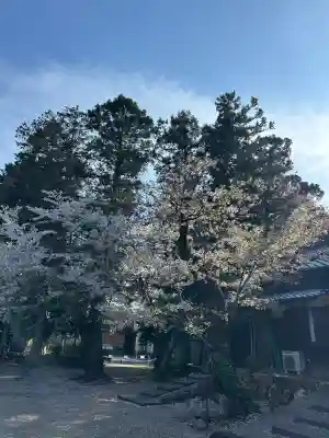 手力雄神社の{uncategorized: "未分類", other: "その他", undefined: "問題あり", building: "その他建物", grave: "お墓", sacred_gate: "鳥居", guardian: "狛犬", statue: "像", buddha: "仏像", history: "歴史", nature: "自然", garden: "庭園", animal: "動物", pagoda: "塔", temizu: "手水舎", mountain_gate: "山門・神門", sanctuary: "本殿・本堂", subordinate: "末社・摂社", art: "芸術", scenery: "景色", jizo: "地蔵", ema: "絵馬", goshuin: "御朱印", omikuji: "おみくじ", items: "授与品その他", amulet: "お守り", goshuincho: "御朱印帳", eats: "食事", festival: "お祭り", votive_dance: "神楽", shichigosan: "七五三参", wedding: "結婚式", experience: "体験その他", initially: "初詣", around: "周辺", anti_infection: "感染症対策"}