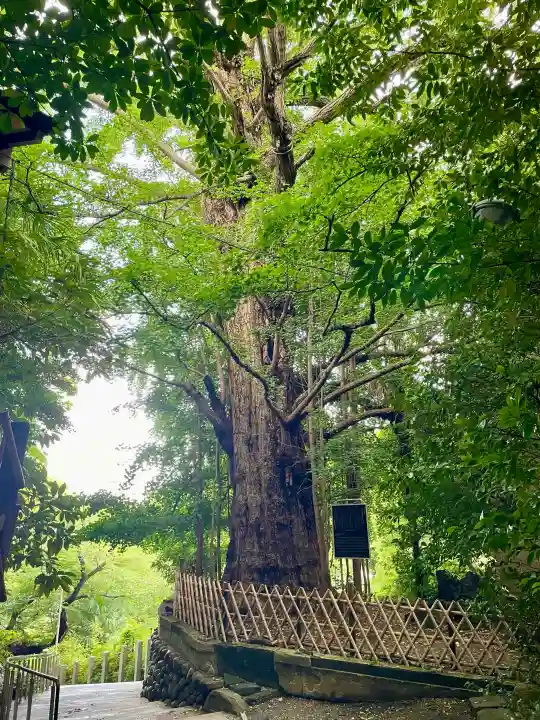 王子神社(東京都)