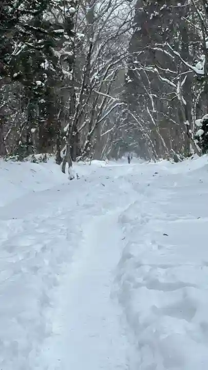 戸隠神社奥社の{uncategorized: "未分類", other: "その他", undefined: "問題あり", building: "その他建物", grave: "お墓", sacred_gate: "鳥居", guardian: "狛犬", statue: "像", buddha: "仏像", history: "歴史", nature: "自然", garden: "庭園", animal: "動物", pagoda: "塔", temizu: "手水舎", mountain_gate: "山門・神門", sanctuary: "本殿・本堂", subordinate: "末社・摂社", art: "芸術", scenery: "景色", jizo: "地蔵", ema: "絵馬", goshuin: "御朱印", omikuji: "おみくじ", items: "授与品その他", amulet: "お守り", goshuincho: "御朱印帳", eats: "食事", festival: "お祭り", votive_dance: "神楽", shichigosan: "七五三参", wedding: "結婚式", experience: "体験その他", initially: "初詣", around: "周辺", anti_infection: "感染症対策"}