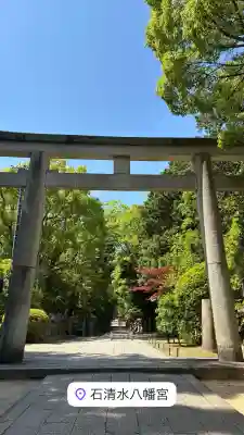 石清水八幡宮の{uncategorized: "未分類", other: "その他", undefined: "問題あり", building: "その他建物", grave: "お墓", sacred_gate: "鳥居", guardian: "狛犬", statue: "像", buddha: "仏像", history: "歴史", nature: "自然", garden: "庭園", animal: "動物", pagoda: "塔", temizu: "手水舎", mountain_gate: "山門・神門", sanctuary: "本殿・本堂", subordinate: "末社・摂社", art: "芸術", scenery: "景色", jizo: "地蔵", ema: "絵馬", goshuin: "御朱印", omikuji: "おみくじ", items: "授与品その他", amulet: "お守り", goshuincho: "御朱印帳", eats: "食事", festival: "お祭り", votive_dance: "神楽", shichigosan: "七五三参", wedding: "結婚式", experience: "体験その他", initially: "初詣", around: "周辺", anti_infection: "感染症対策"}