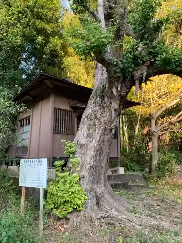 不動尊堂(千葉県)