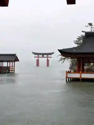 厳島神社の{uncategorized: "未分類", other: "その他", undefined: "問題あり", building: "その他建物", grave: "お墓", sacred_gate: "鳥居", guardian: "狛犬", statue: "像", buddha: "仏像", history: "歴史", nature: "自然", garden: "庭園", animal: "動物", pagoda: "塔", temizu: "手水舎", mountain_gate: "山門・神門", sanctuary: "本殿・本堂", subordinate: "末社・摂社", art: "芸術", scenery: "景色", jizo: "地蔵", ema: "絵馬", goshuin: "御朱印", omikuji: "おみくじ", items: "授与品その他", amulet: "お守り", goshuincho: "御朱印帳", eats: "食事", festival: "お祭り", votive_dance: "神楽", shichigosan: "七五三参", wedding: "結婚式", experience: "体験その他", initially: "初詣", around: "周辺", anti_infection: "感染症対策"}