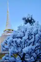 福王山 慈眼寺の自然