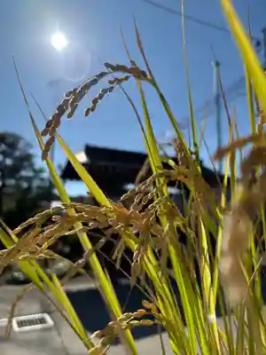 大鏑神社(福島県)