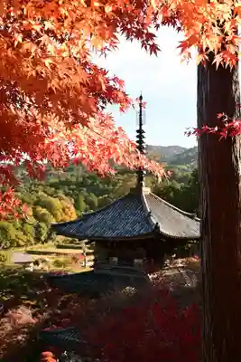 常樂寺(滋賀県)