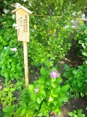 御霊神社のその他建物