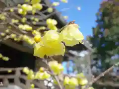 廣隆寺(京都府)