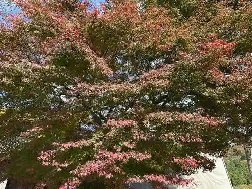 佐味神社(滋賀県)