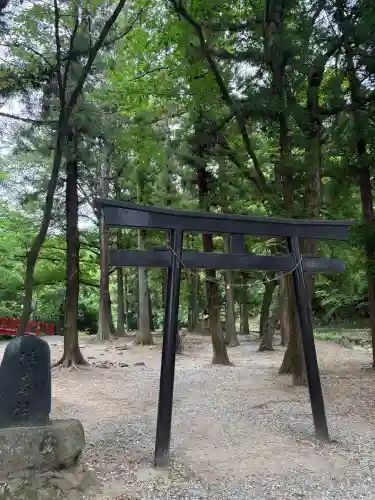 諏訪大社下社春宮(長野県)