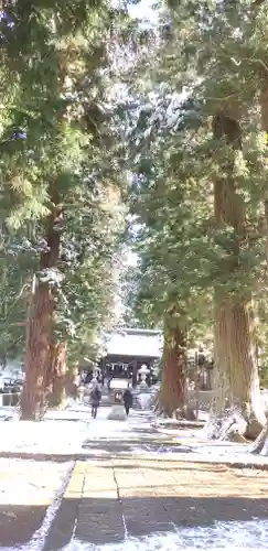 河口浅間神社の建物その他