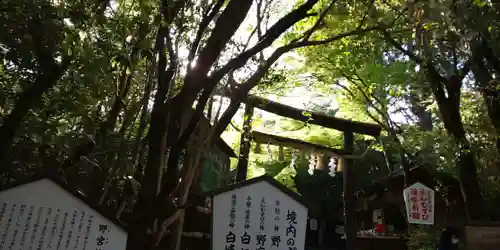野宮神社(京都府)