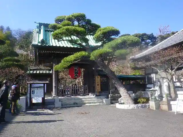 長谷寺の山門・神門