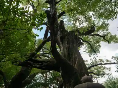 若一神社(京都府)