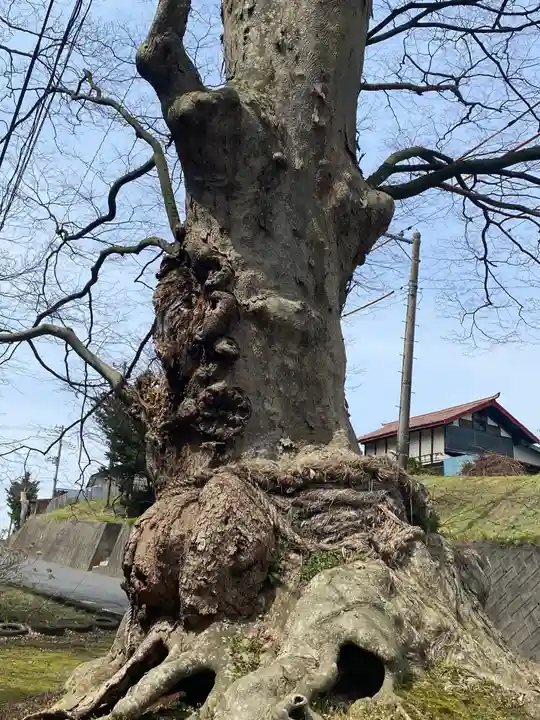 十二神社の自然