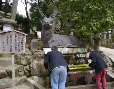 春日大社の手水舎