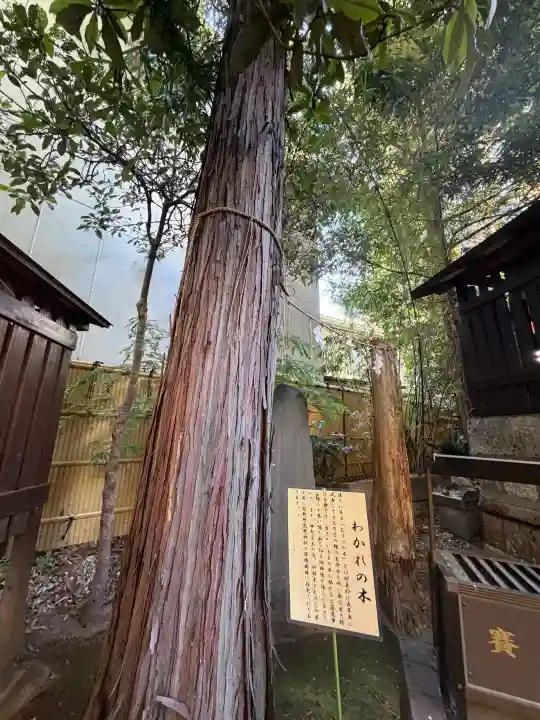くまくま神社(導きの社 熊野町熊野神社)の{uncategorized: "未分類", other: "その他", undefined: "問題あり", building: "その他建物", grave: "お墓", sacred_gate: "鳥居", guardian: "狛犬", statue: "像", buddha: "仏像", history: "歴史", nature: "自然", garden: "庭園", animal: "動物", pagoda: "塔", temizu: "手水舎", mountain_gate: "山門・神門", sanctuary: "本殿・本堂", subordinate: "末社・摂社", art: "芸術", scenery: "景色", jizo: "地蔵", ema: "絵馬", goshuin: "御朱印", omikuji: "おみくじ", items: "授与品その他", amulet: "お守り", goshuincho: "御朱印帳", eats: "食事", festival: "お祭り", votive_dance: "神楽", shichigosan: "七五三参", wedding: "結婚式", experience: "体験その他", initially: "初詣", around: "周辺", anti_infection: "感染症対策"}