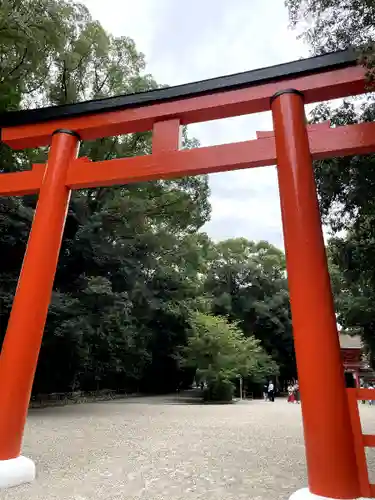 賀茂御祖神社（下鴨神社）の鳥居