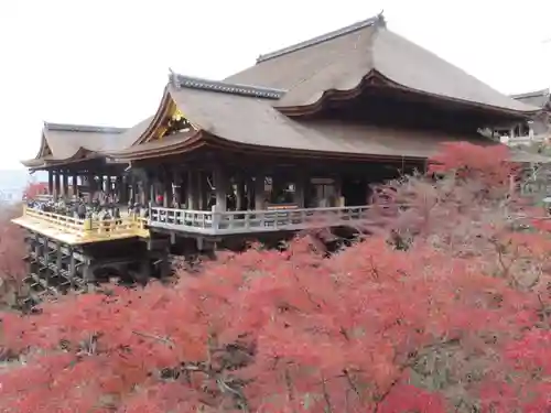 清水寺の本殿・本堂